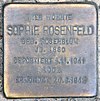 Stolperstein Salzburger Str 8 (Schöb) Sophie Rosenfeld.jpg