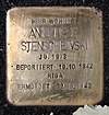 Камень преткновения Schützenstr 53 (Stegl) Anneliese Stenschewski.jpg