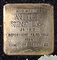 image=https://commons.wikimedia.org/wiki/File:Stolperstein_Sch%C3%BCtzenstr_53_(Stegl)_Anneliese_Stenschewski.jpg