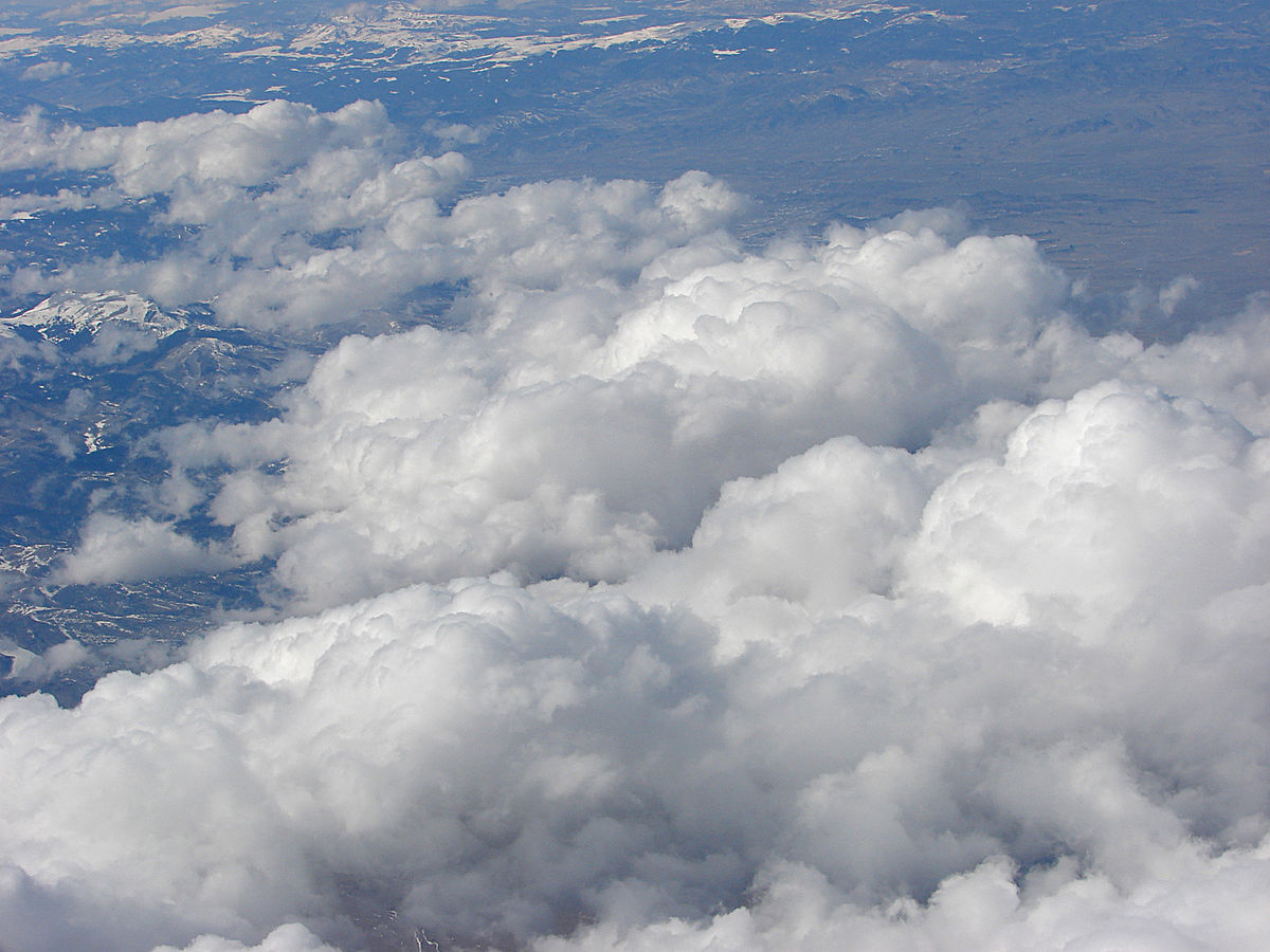 上空から見た層積雲