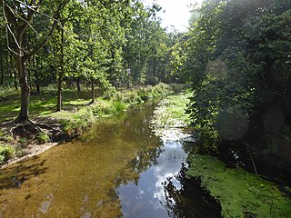 <span class="mw-page-title-main">Didlington Park Lakes</span>