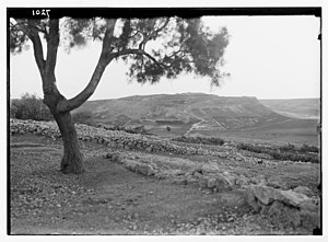 Tel Lachish