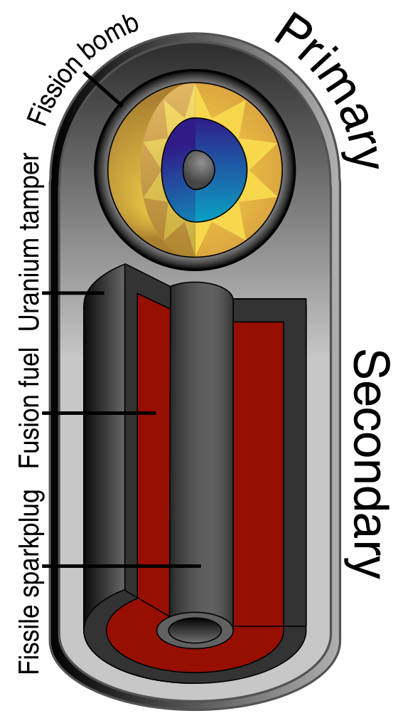 Nuclear weapons term paper