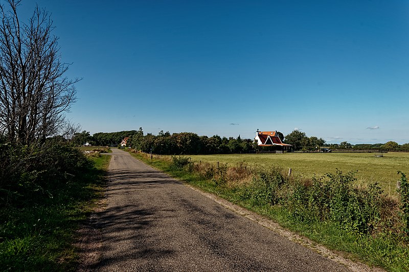 File:Texel - Hoge Berg - Schansweg - View NNE II.jpg