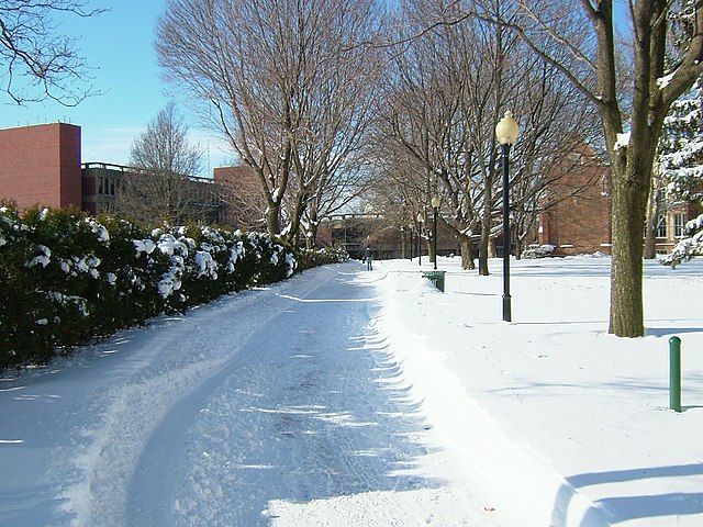 A pedestrian walkway on campus after a fresh snow storm
