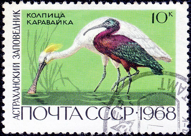 File:The Soviet Union 1968 CPA 3676 stamp (Eurasian Spoonbill and Glossy Ibis (Astrakhan Nature Reserve)) cancelled light.jpg