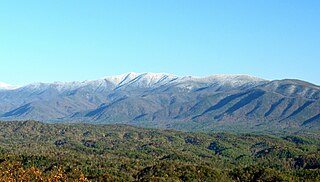 <span class="mw-page-title-main">Thunderhead Mountain</span> Mountain in the Great Smoky Mountains, United States