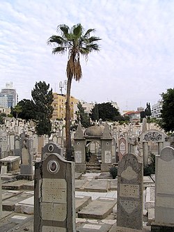 Trumpeldor Cemetery general.JPG