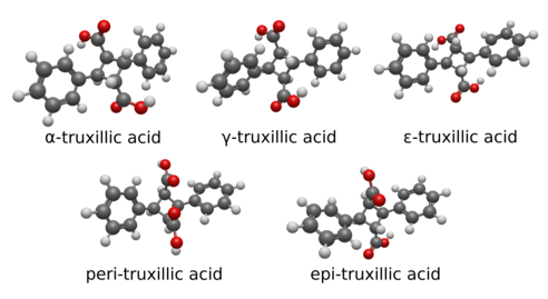 Truxillic acids 3D BS.png