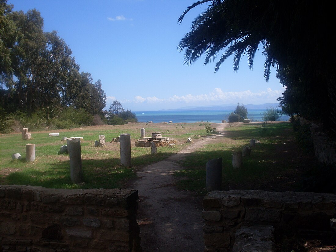 Arquebisbat de Cartago