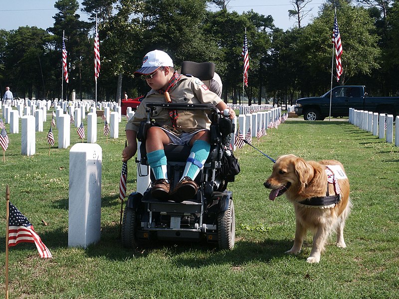 File:US Navy 030523-N-4204E-015 A Boy Scout places an American flag at a gravesite on the grounds of Barrancas National Cemetery.jpg