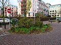 Urban green Schendelstraat.jpg