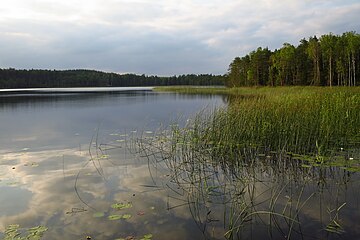 Fail:Viisjaagu_järv_juulis.JPG