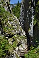 * Nomination Wörschach gorge, Styria --Uoaei1 04:41, 16 June 2015 (UTC) * Promotion Good quality.--Famberhorst 05:34, 16 June 2015 (UTC)