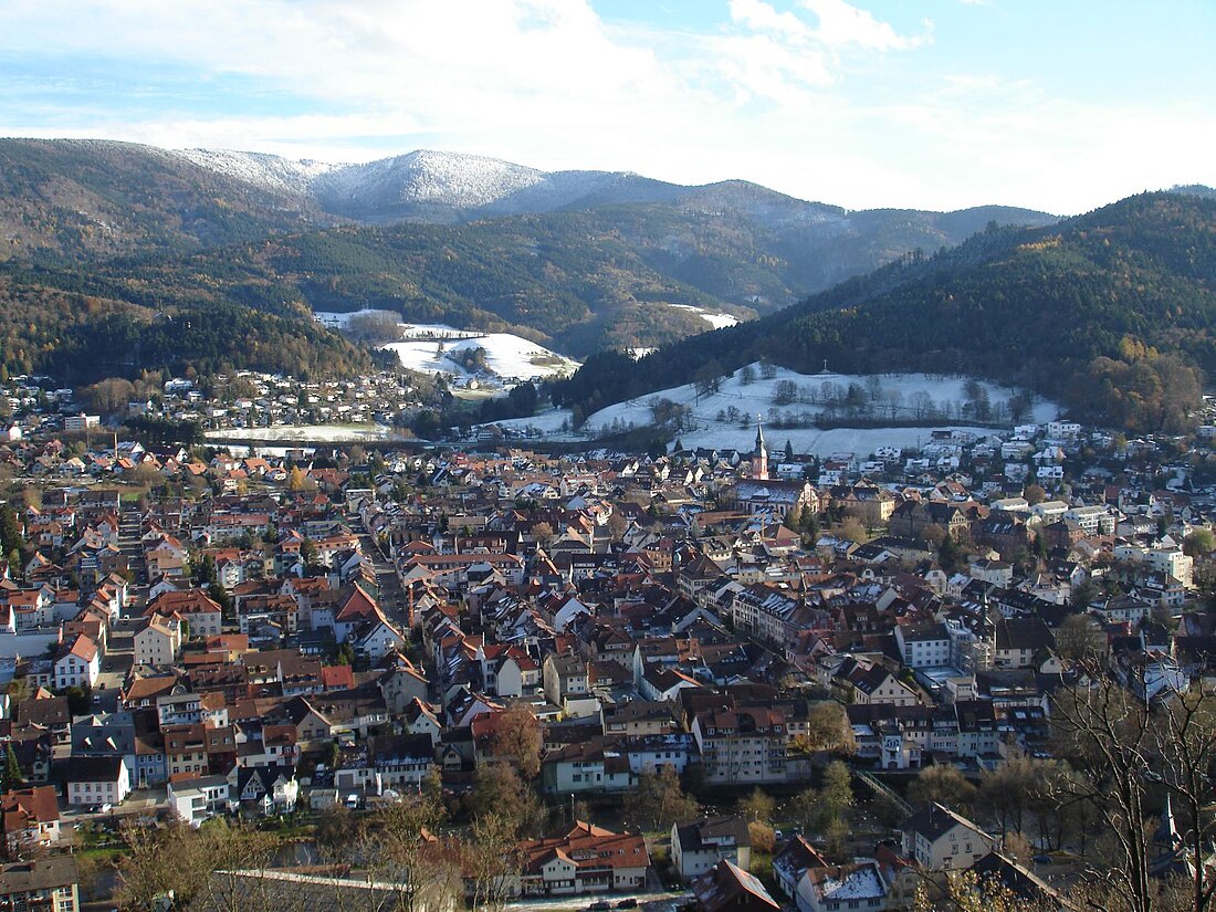 File:Waldkirch von kastelburg.jpg