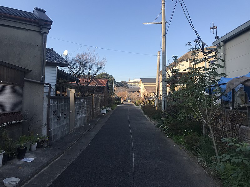 File:Walking way near Umi Station.jpg