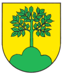 Buchenberg (Königsfeld im Schwarzwald)