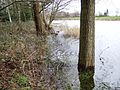 Wassend boezemwater in Friesland