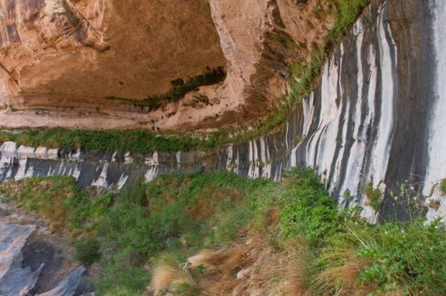 Water slowly seeping from tan porous sandstone at contact with impermeable gray shale creates a refreshing growth of green vegetation in the desert.