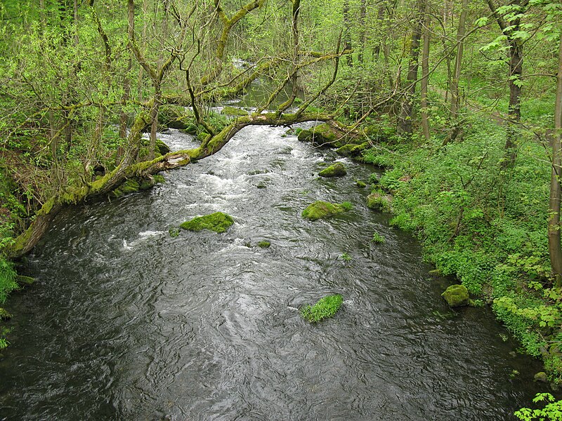 File:Weiße Elster bei Barthmühle.JPG