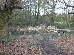 Weybourne Cagar Alam pond.JPG