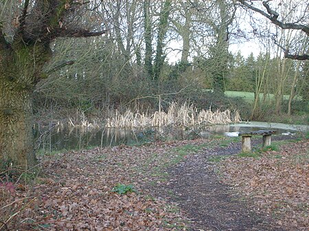 Weybourne Nature Reserve pond