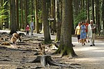 Vorschaubild für Wildpark Poing