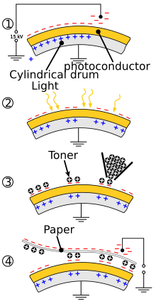 Schematic overview of the xerographic photocopying process (step 1-4) Xerographic photocopy process en.svg
