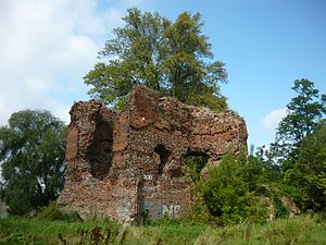 Burg Złotoria