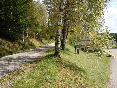 Zinsbachtal bei der Waldsaegmuehle