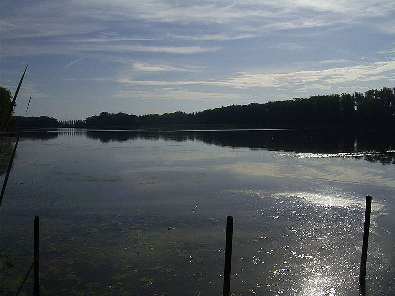 File:Zoerbig-Anhalt.Coesitzer.Teich2.jpg