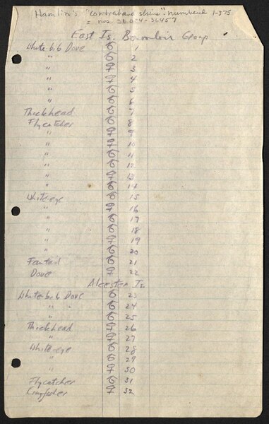 File:(Field notes) 1928 (IA fieldnotes192800haml).pdf