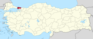 <span class="mw-page-title-main">Istanbul (1st electoral district)</span> Electoral district for the Grand National Assembly of Turkey