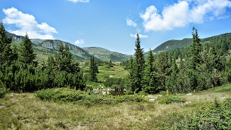 File:Рила - долината на река Ражавица - panoramio.jpg