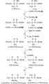 2007年11月30日 (金) 11:40時点における版のサムネイル