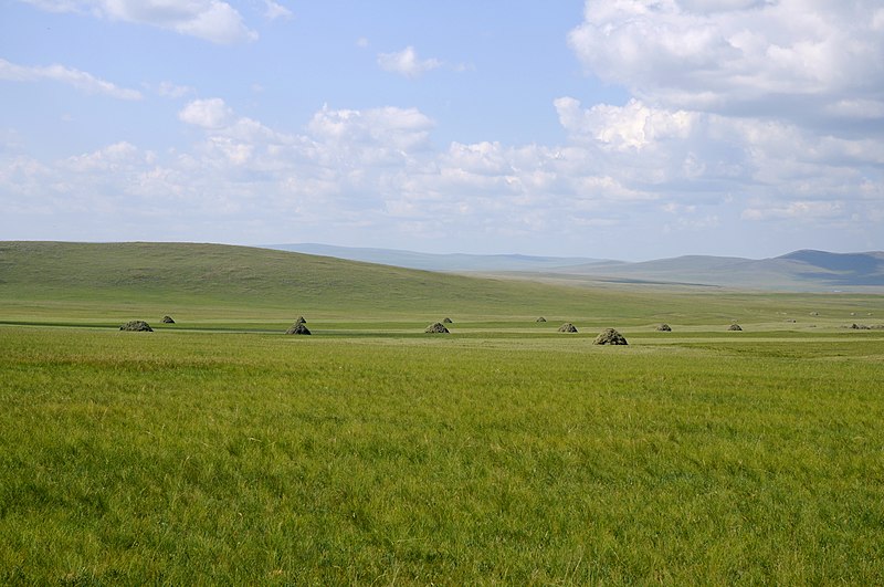 File:新巴尔虎右旗 草原 - panoramio.jpg