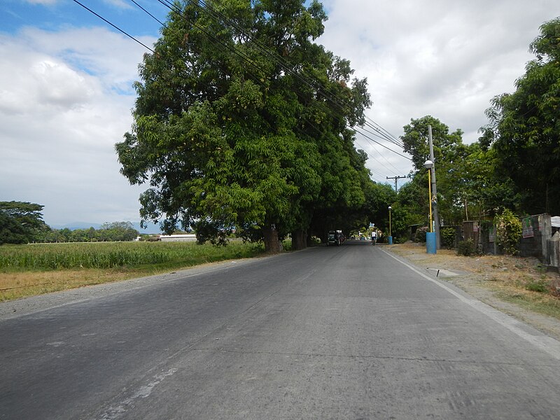 File:09971jfBinalonan Pangasinan Roads Highway Monastery Landmarksfvf 15.jpg