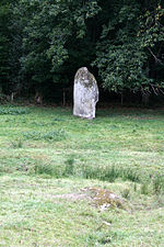 Vignette pour Menhir des Fichades