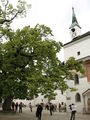 Deutsch: Festung Hohensalzburg, Salzburg, Österreich English: High Fortress, Salzburg, Austria