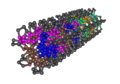 1K6F Crystal Structure Of The Collagen Triple Helix Model Pro- Pro-Gly103 02.png