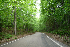 M-119's Tunnel of Trees without a centerline