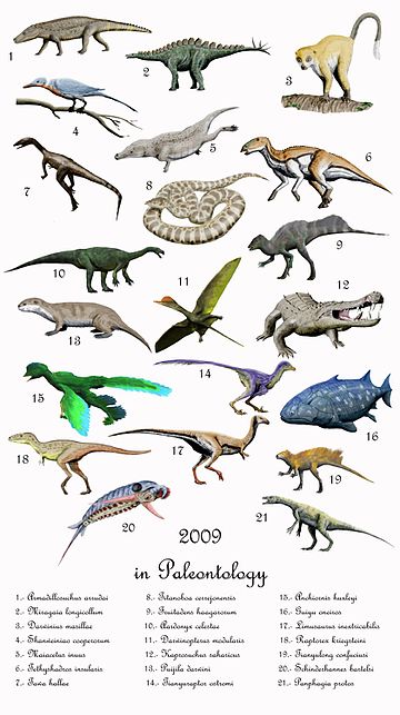 2009 in paleontology