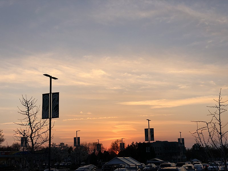 File:2021-04-03 19 27 23 Cirrus clouds near sunset viewed from the Franklin Farm Village Shopping Center in the Franklin Farm section of Oak Hill, Fairfax County, Virginia.jpg
