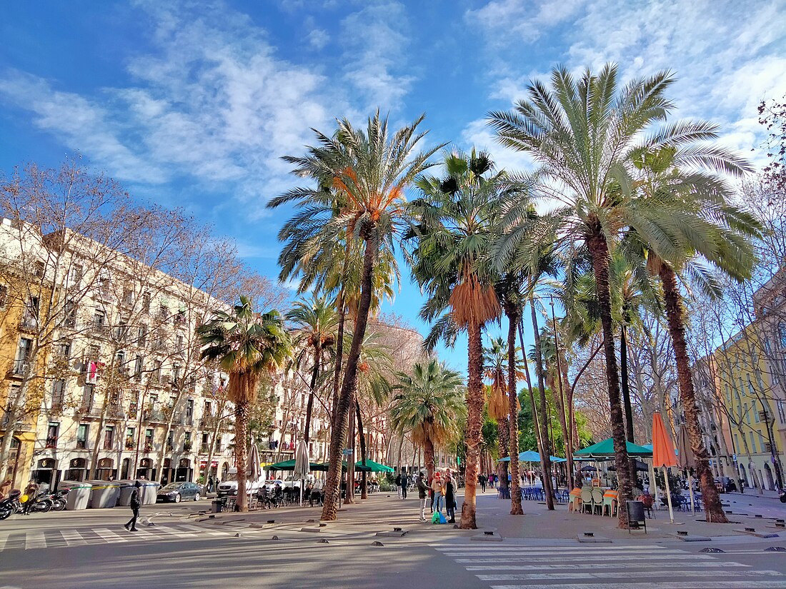 Rambla del Raval