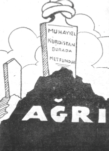 Kurden: Eine in der Türkei und anderen Staaten benachteiligte