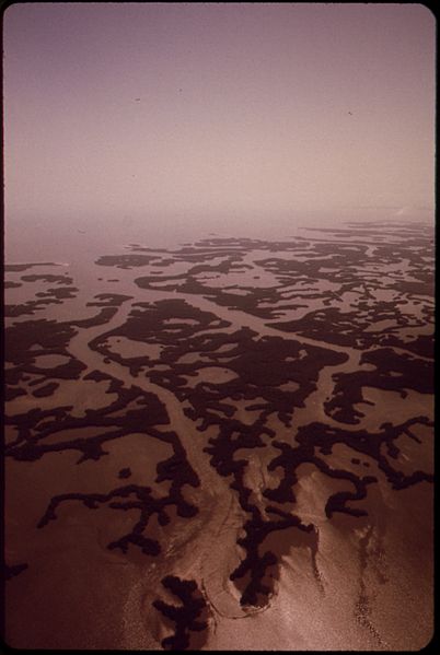 File:AERIAL VIEW OF THE MINGLED LAND- AND SEA-SCAPE AT THE SOUTHERNMOST TIP OF FLORIDA, MANGROVE SWAMPS AND BEGINNING OF... - NARA - 548603.jpg