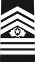 AJROTC-Befehlssergeant Major-Rangabzeichen