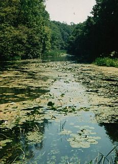 Tur (river) river in Romania