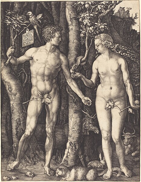 File:Albrecht Dürer, Adam and Eve, 1504, NGA 6610.jpg