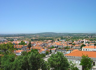 <span class="mw-page-title-main">Alcanena</span> Municipality in Centro, Portugal
